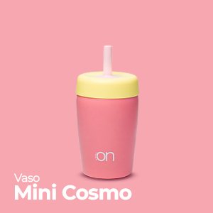 mini-cosmo